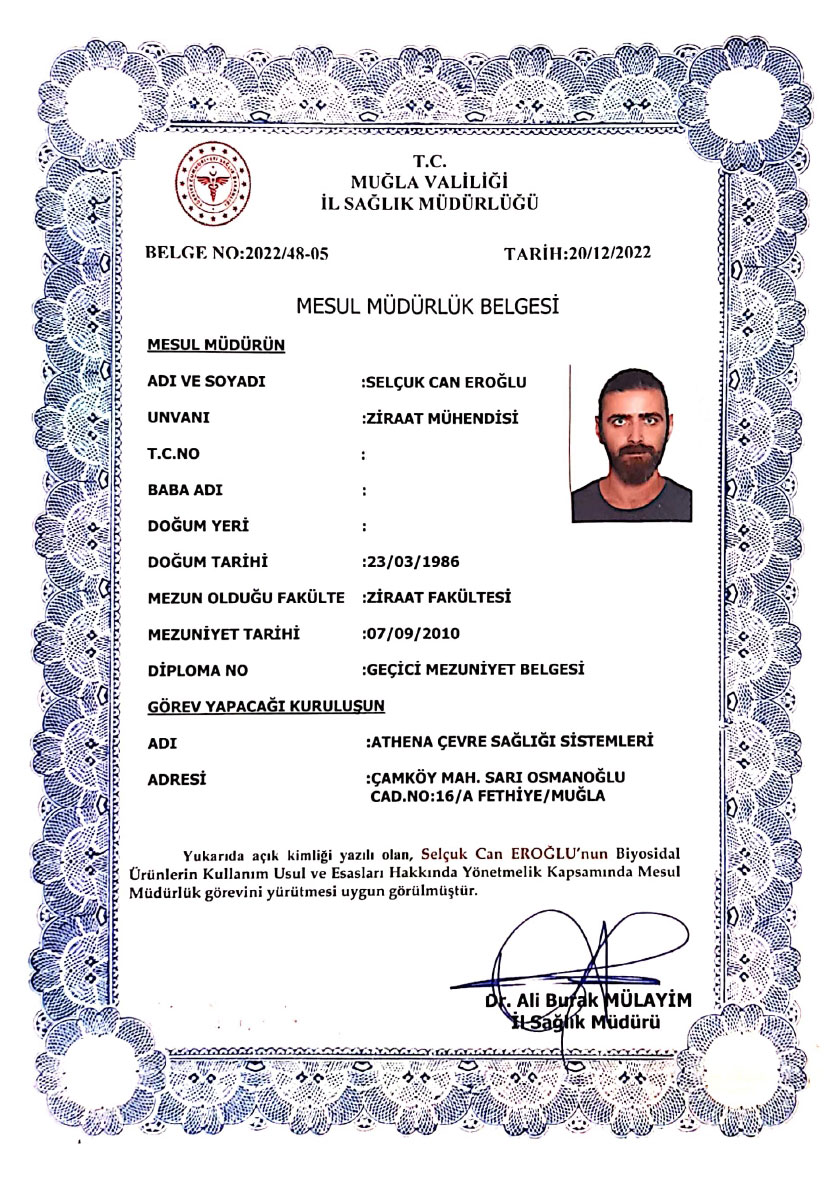 mesul-mudur